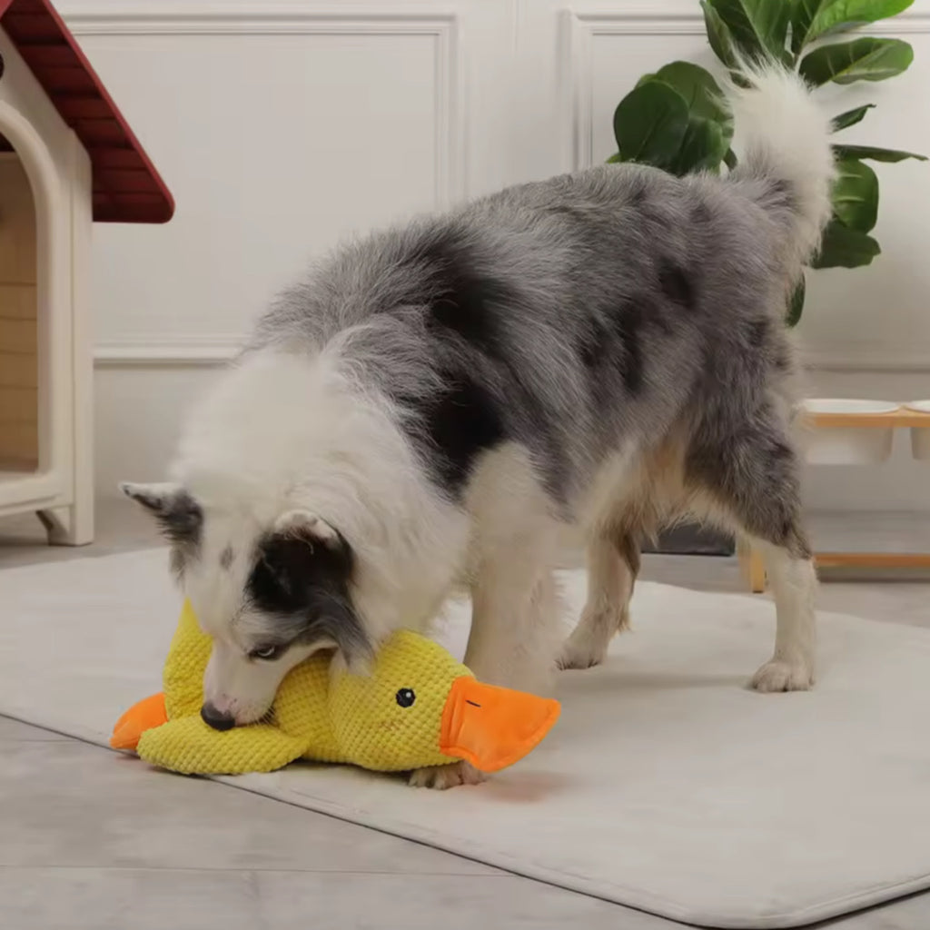 Plush Companion Sleeping Duck Dog Toy