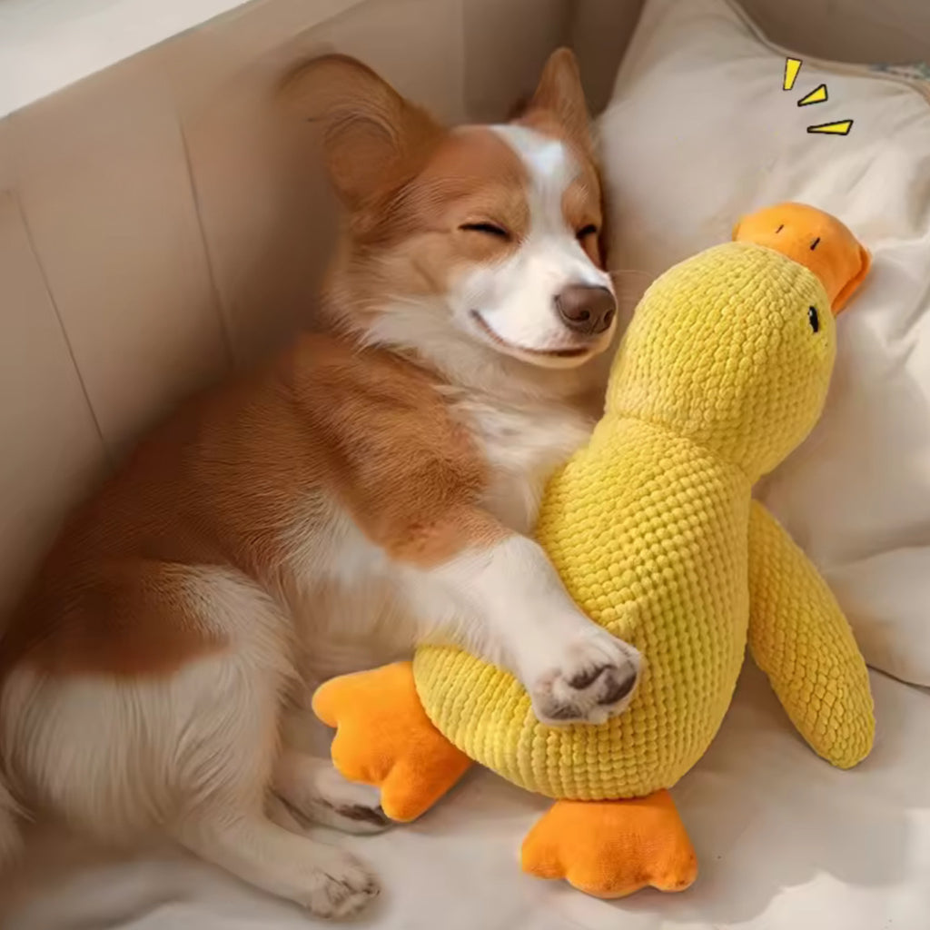 Plush Companion Sleeping Duck Dog Toy