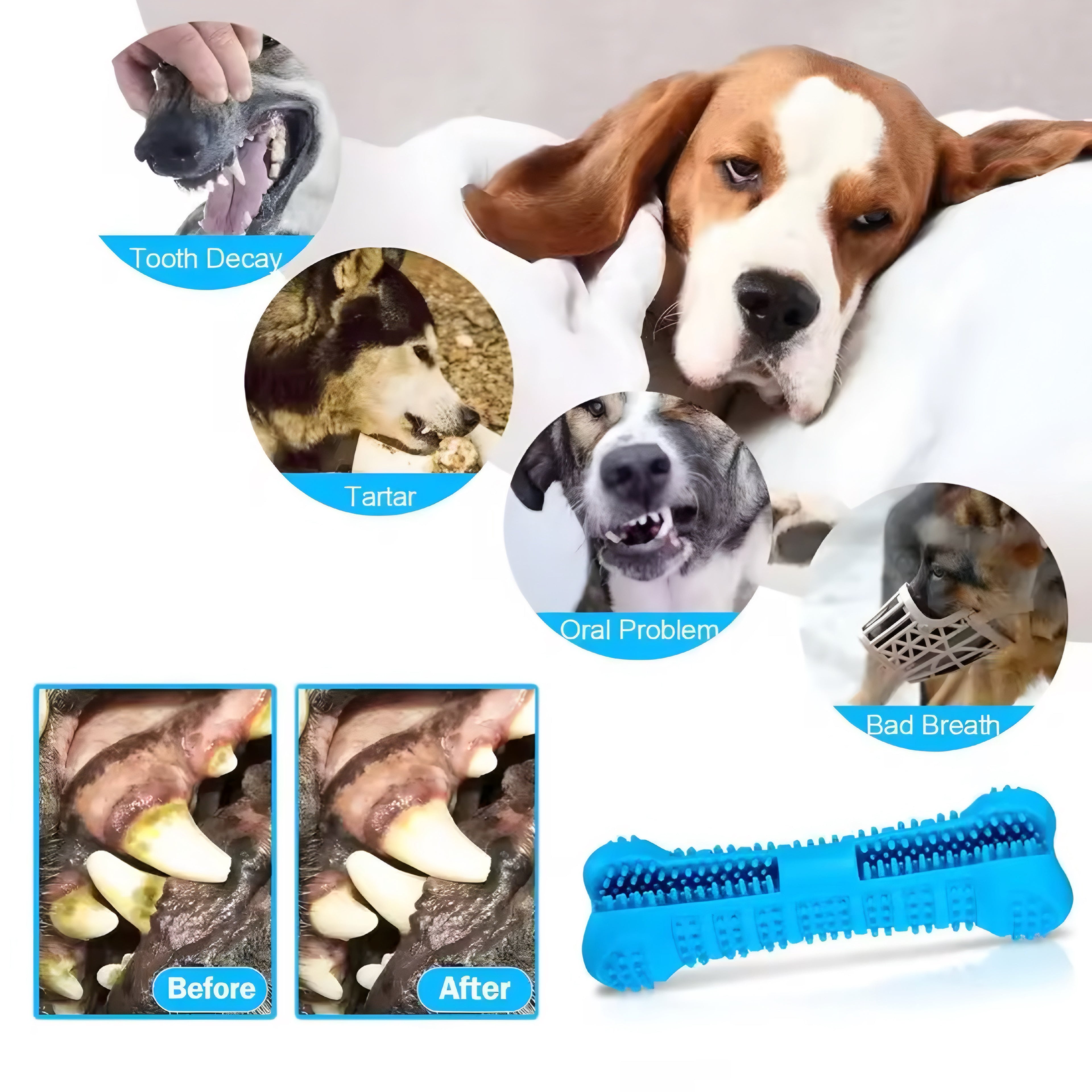 360° Soft Rubber Dog Toothbrush & Chew Toy